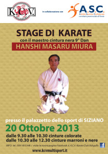 stage karate