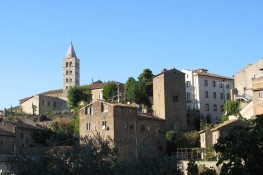 Convocazione Assemblea Provinciale Ordinaria Elettiva A.S.C. VITERBO