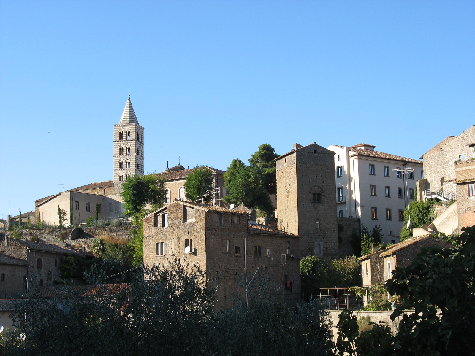 Convocazione Assemblea Provinciale Ordinaria Elettiva A S C  VITERBO