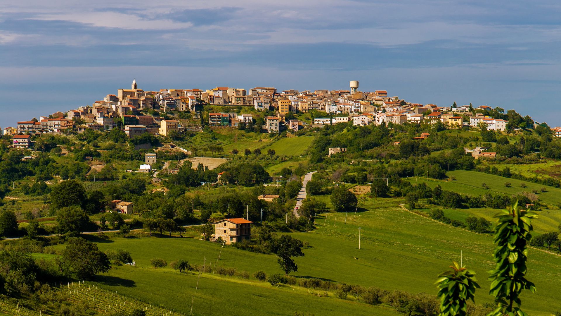 Convocazione Assemblea Regionale Ordinaria Elettiva A S C  Molise