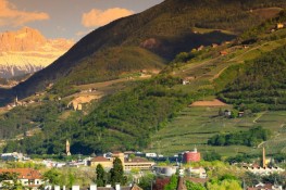 Convocazione di Assemblea Regionale Ordinaria Elettiva A.S.C. Bolzano