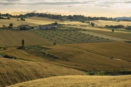 Convocazione di Assemblea Regionale Ordinaria Elettiva A.S.C. Emilia Romagna