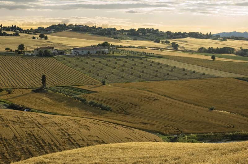 Convocazione di Assemblea Regionale Ordinaria Elettiva A S C  Emilia Romagna