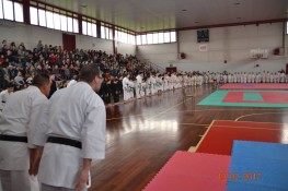 "Venti" di karate a Dolo, un grande traguardo!