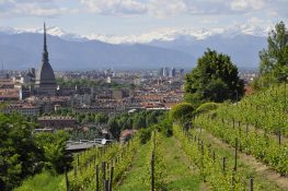 Convocazione di Assemblea Regionale Ordinaria A.S.C. Piemonte