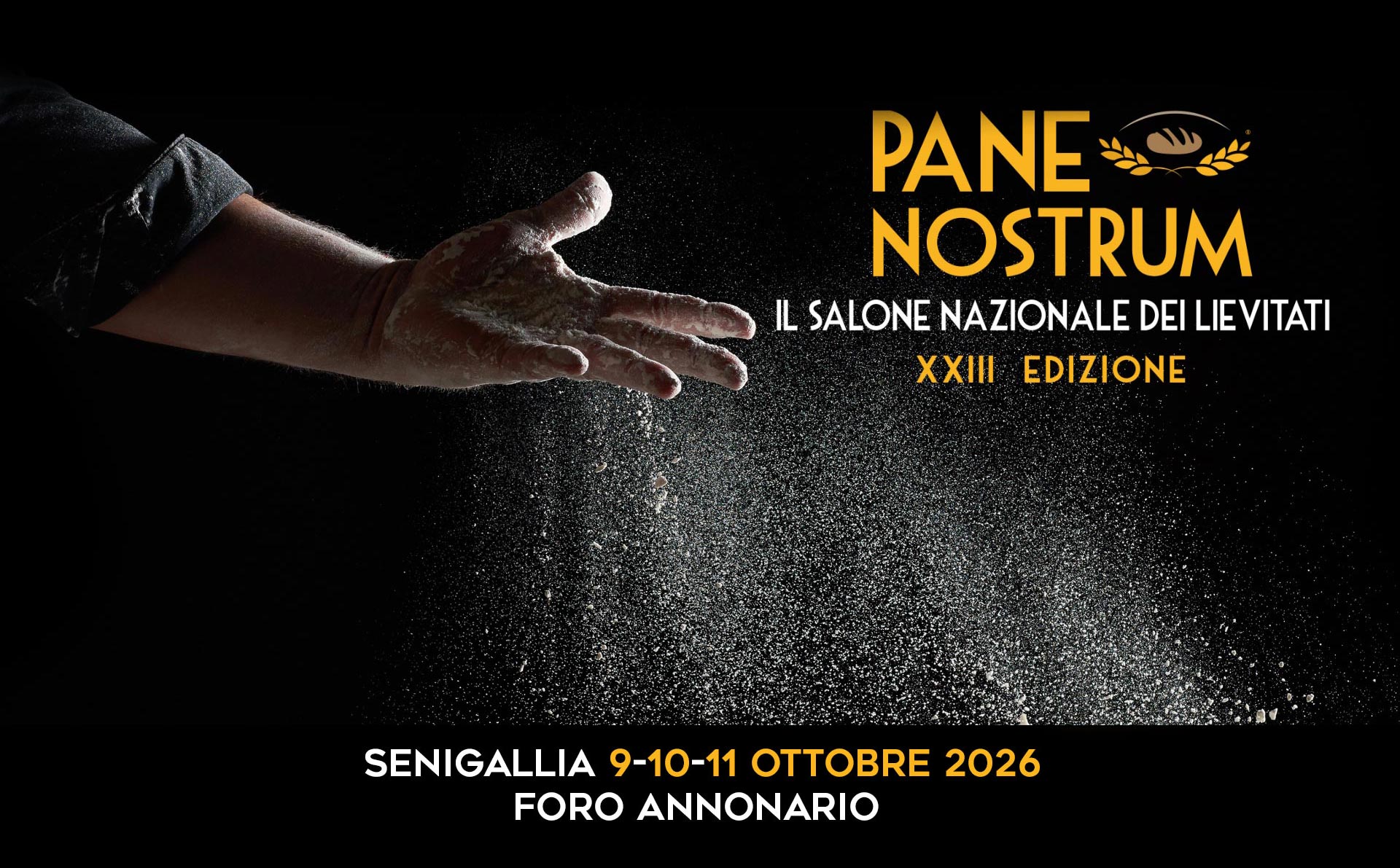 ASC e FIIS tra Pane Nostrum e Osimo 2028  sport  salute e territorio